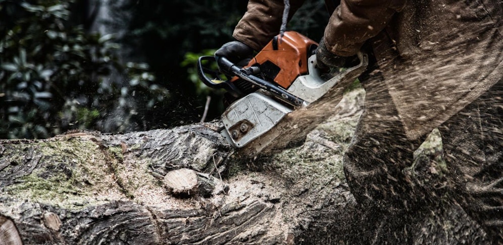 Der Mann war gerade mit Forstarbeiten beschäftigt, als der Unfall passierte