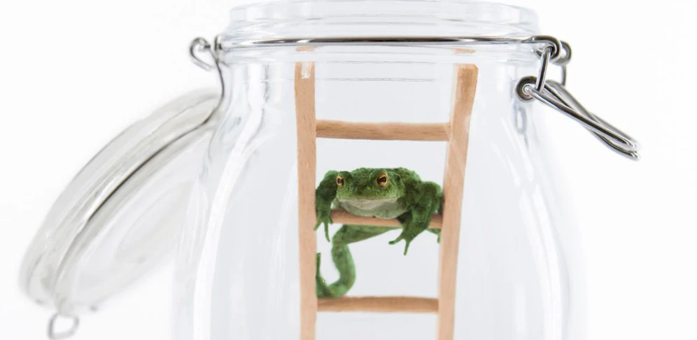 Der Wetterfrosch mit der Prognose fürs Wochenende.