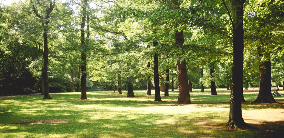 Der Mann entblößte sich vor mehrere Frauen in einem Park