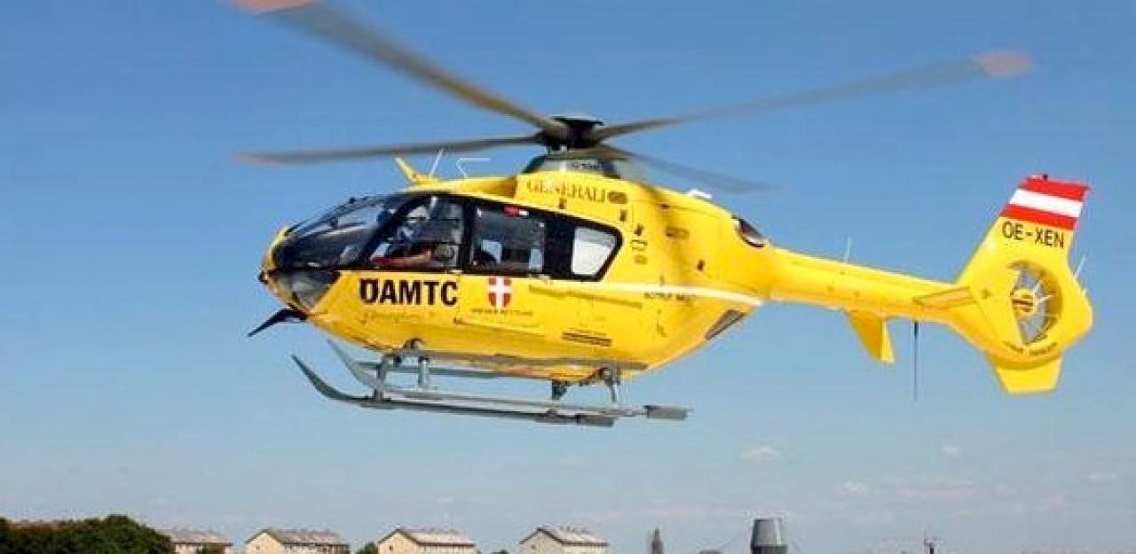 Heute.at - Frau (54) bei Forstarbeiten von Ast getroffen