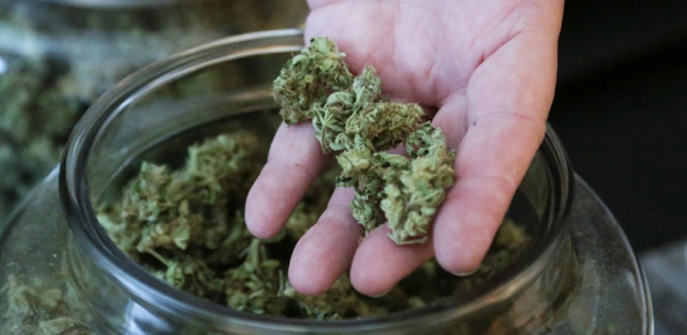 Statt Majoran landete Marihuana im Weihnachtsessen. (Archivbild)