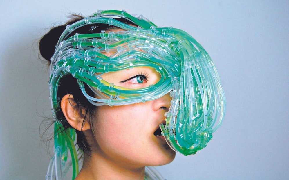 Mensch und Alge in perfekter Symbiose.  