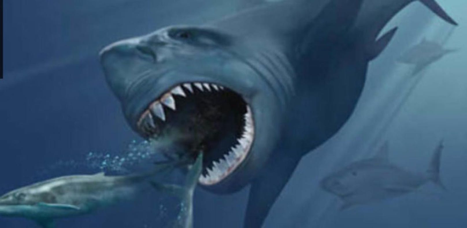 König der Urmonster: Illustration des ausgestorbenen Riesenhais Carcharocles megalodon.