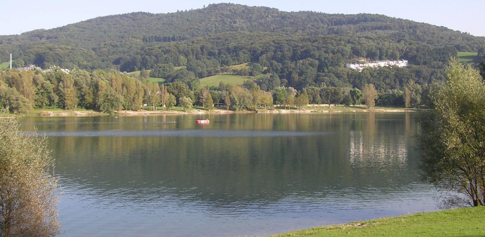 30 Grad, wurden am Wochenende im Pleschinger See gemessen. Durch das aufgehitzte Wasser unserer heimischen Gewässer entstehen viele Probleme für die Tier- und Wasserwelt. 