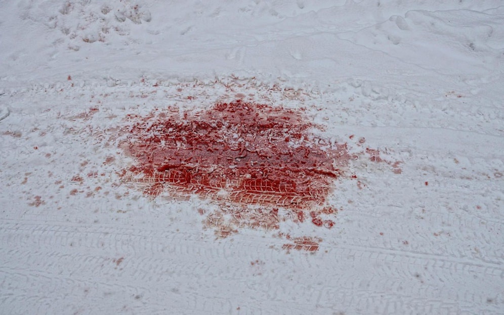 Das erste Mal wurde die blutrote Färbung des Schnees bereits in der Antike beobachtet und notiert.