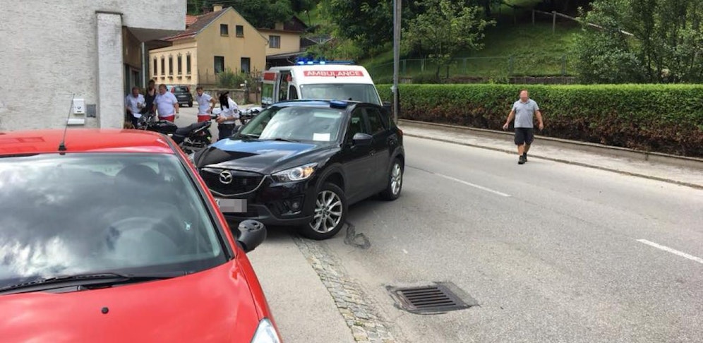 Das Rote Kreuz Puchberg am Schneeberg war rasch am Einsatzort.