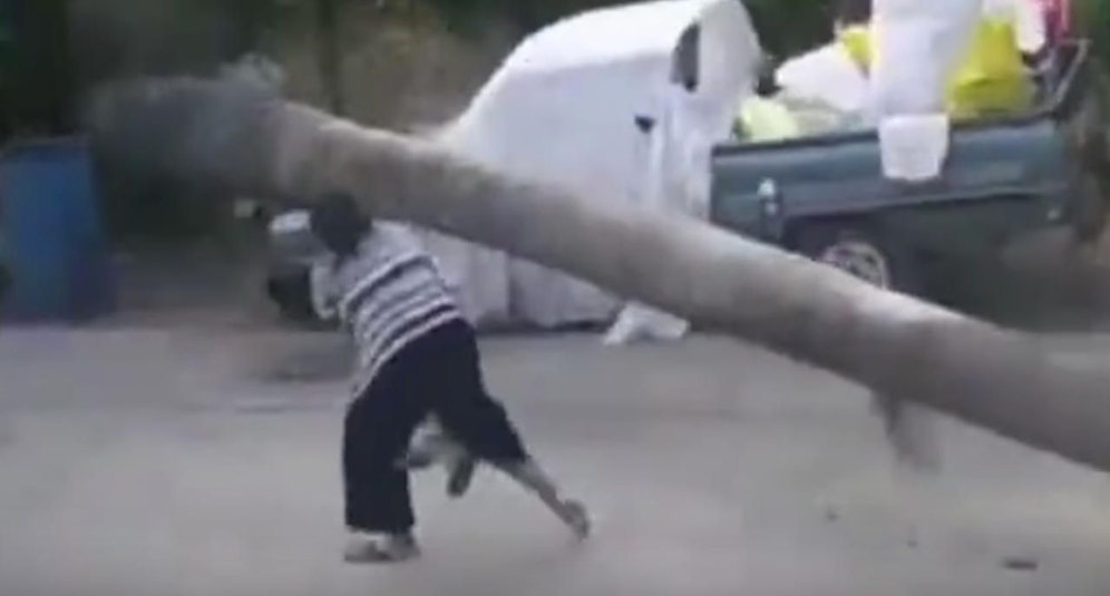 Die Rettung der Mutter wäre zu spät gekommen: Die tonnenschwere Palme verfehlt den Buben (2) um Haaresbreite. 