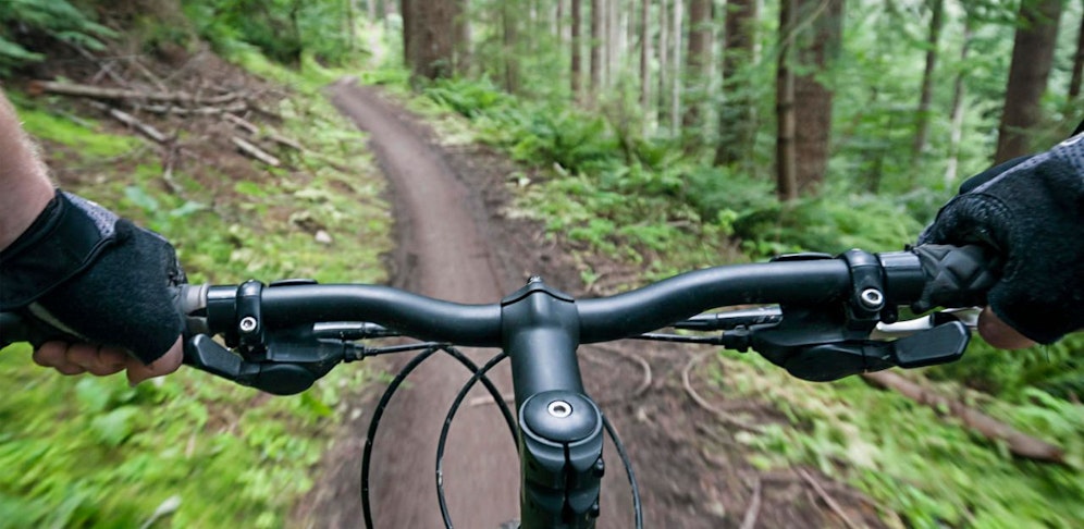 Ein Jäger wollte Radler und Mopedfahrer ausschalten, er spannte einen Draht zwischen zwei Bäumen. (Symbolbild).