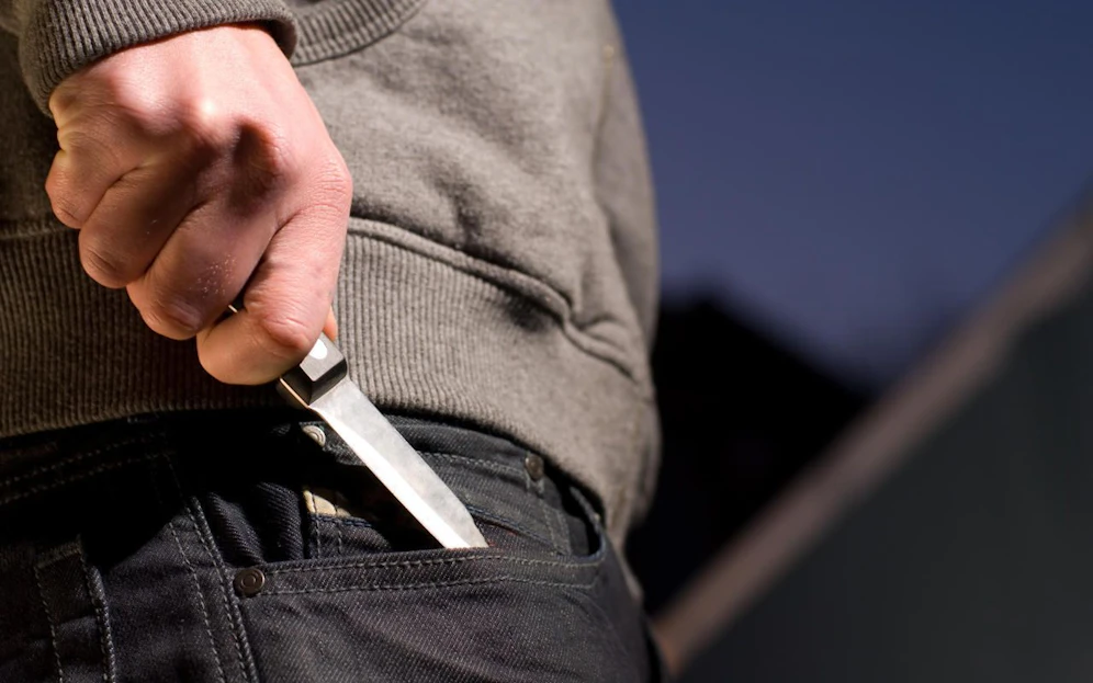Der 21-Jährige bedrohte seine Oma und den Hund mit einem Messer.