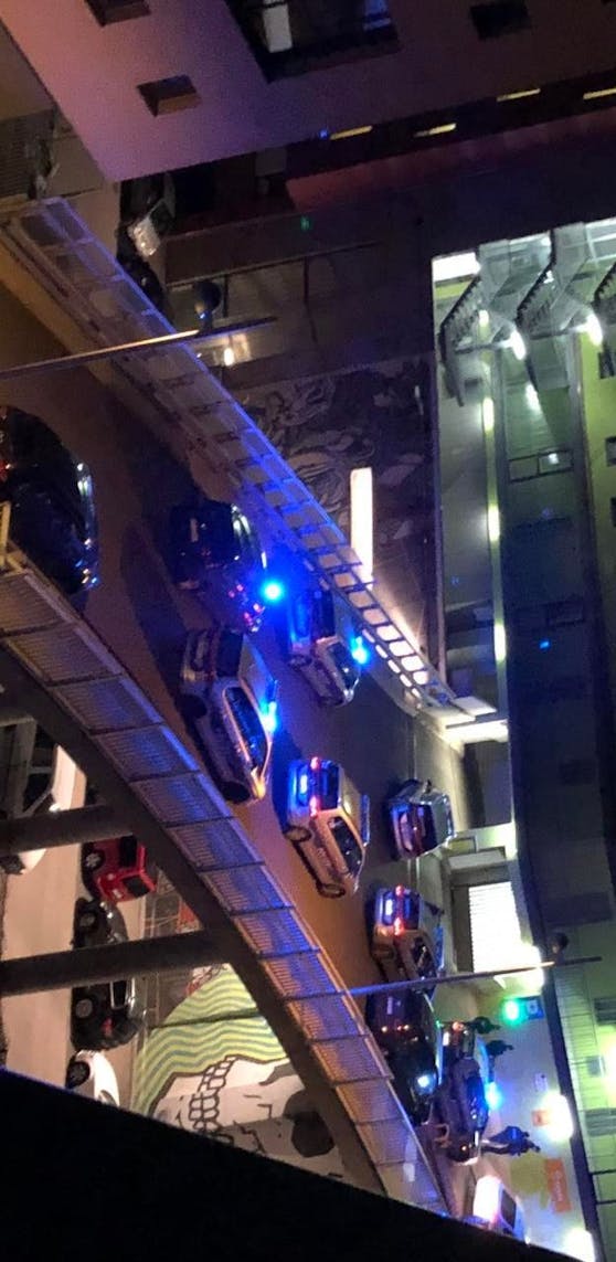 Die Polizei konnte den Mann nach waghalsiger Fahrt stoppen.