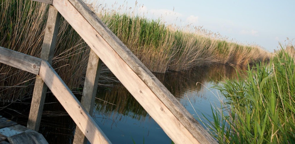 Burgenland, Rust am Neusiedlersee.