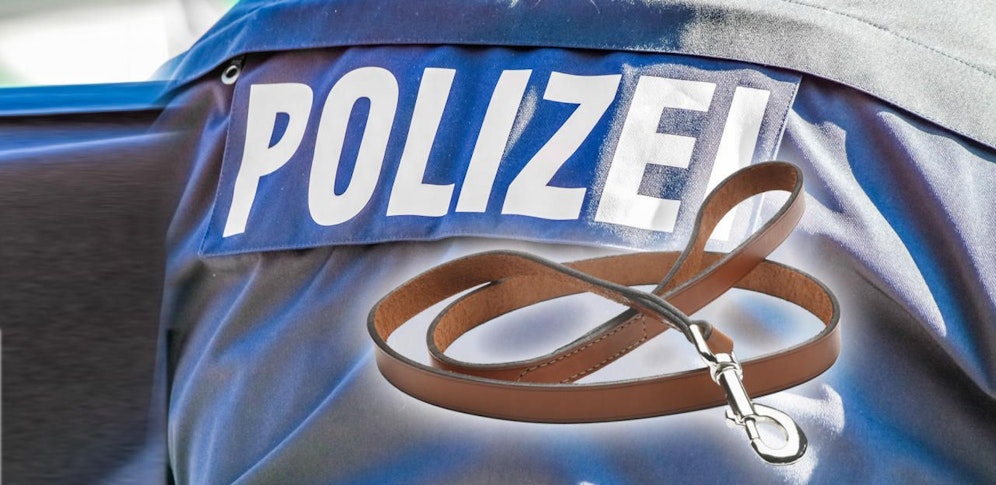 Die E-Bikerin konnte nicht mehr rechtzeitig bremsen, erlitt bei dem folgenden Sturz tödliche Verletzungen.