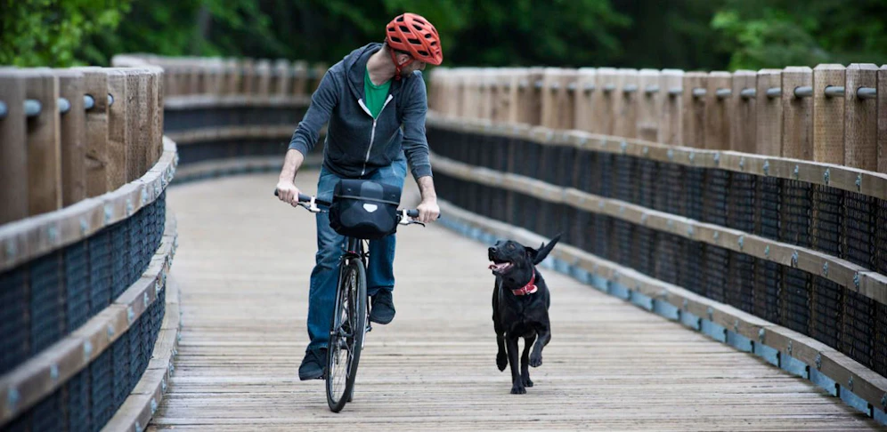 Dem Radfahrer störte es, dass der Hund des 62-Jährigen nicht angeleint war