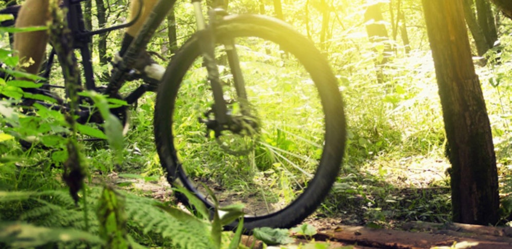 Der Mann war auf dem Donauradweg bei Mitterkirchen unterwegs.