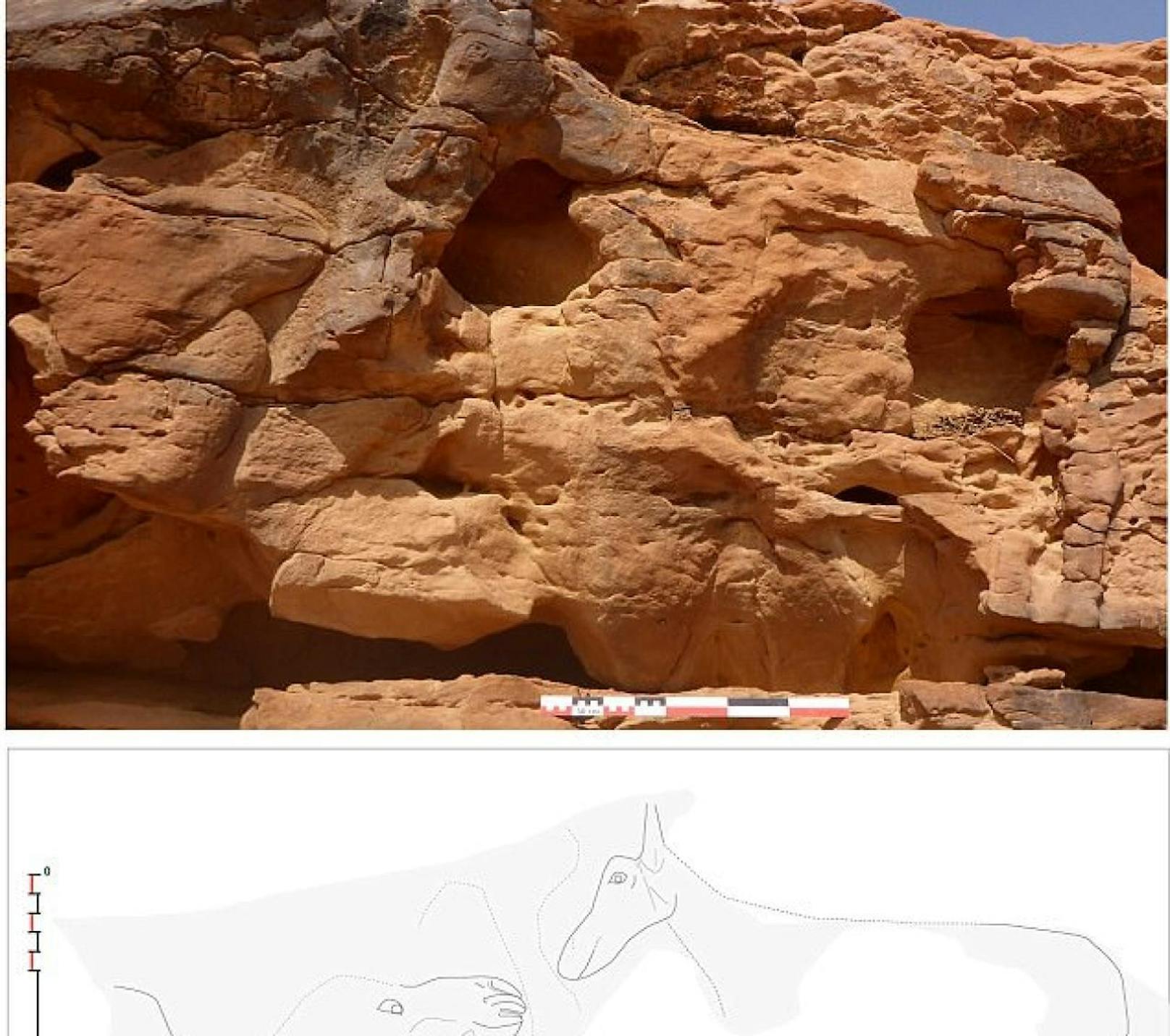 Suchspiel: Hier haben sich zwei Kamele (Zeichnung unten) im Fels versteckt. 