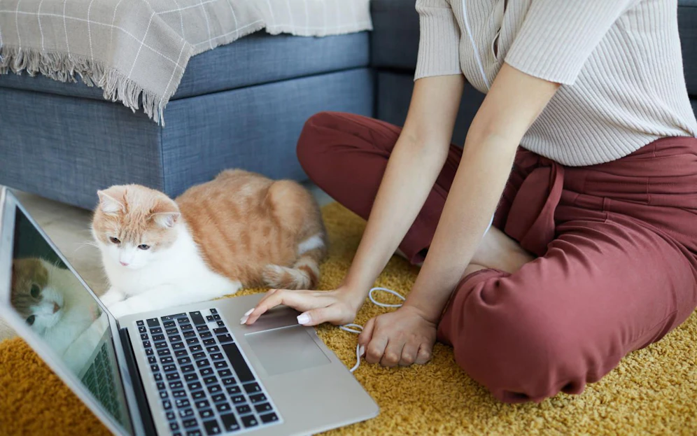 Duscht man täglich und bleibt mit dem Home-Office-Outfit ausschließlich zu Hause, dann kann es bis zu zwei Wochen lang getragen werden, so Experten.