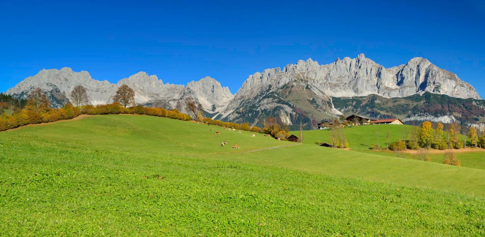 Kaisergebirge bei Ellmau in Tirol
