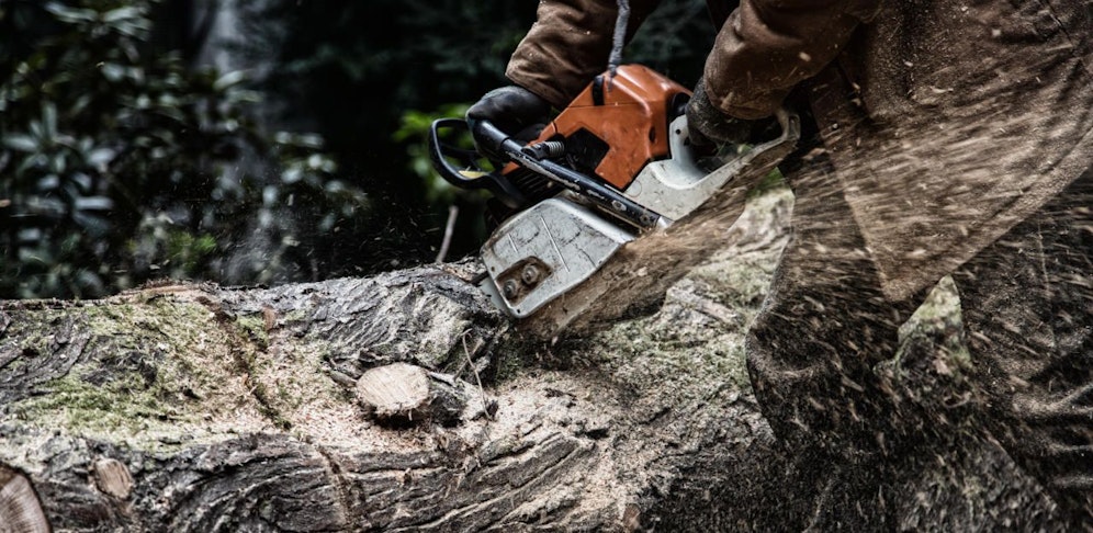 Der Mann wurde von dem fallenden Baum erfasst und eingeklemmt