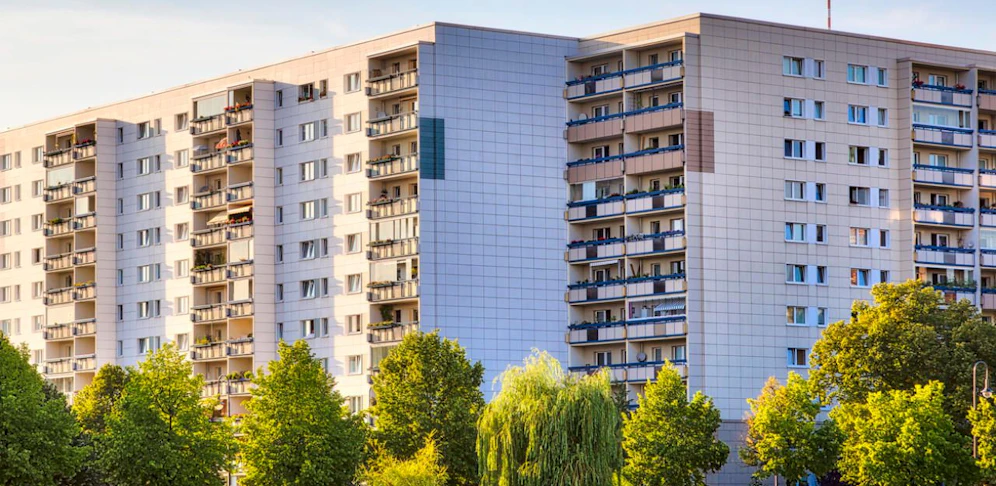 Die 63-Jährige warf ihren Hund aus dem Fenster auf die Straße