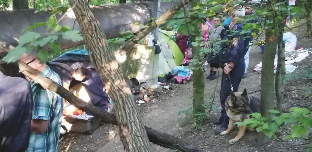 Mit Polizei und Hund: Stadt Linz räumt illegales Zeltlager.