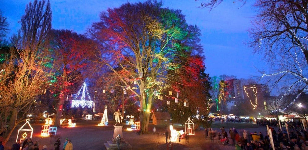 Der Sparkassenpark wird von den Feuerwehren aus St. Pölten zu einem Lichtermeer verwandelt.