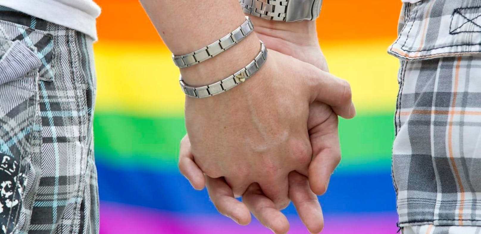 SPÖ und NEOS plädieren für Öffnung der Ehe für Homosexuelle noch vor dem 1. Jänner 2019.