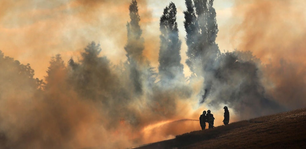 Ein brennender Vogel löste den Feldbrand aus