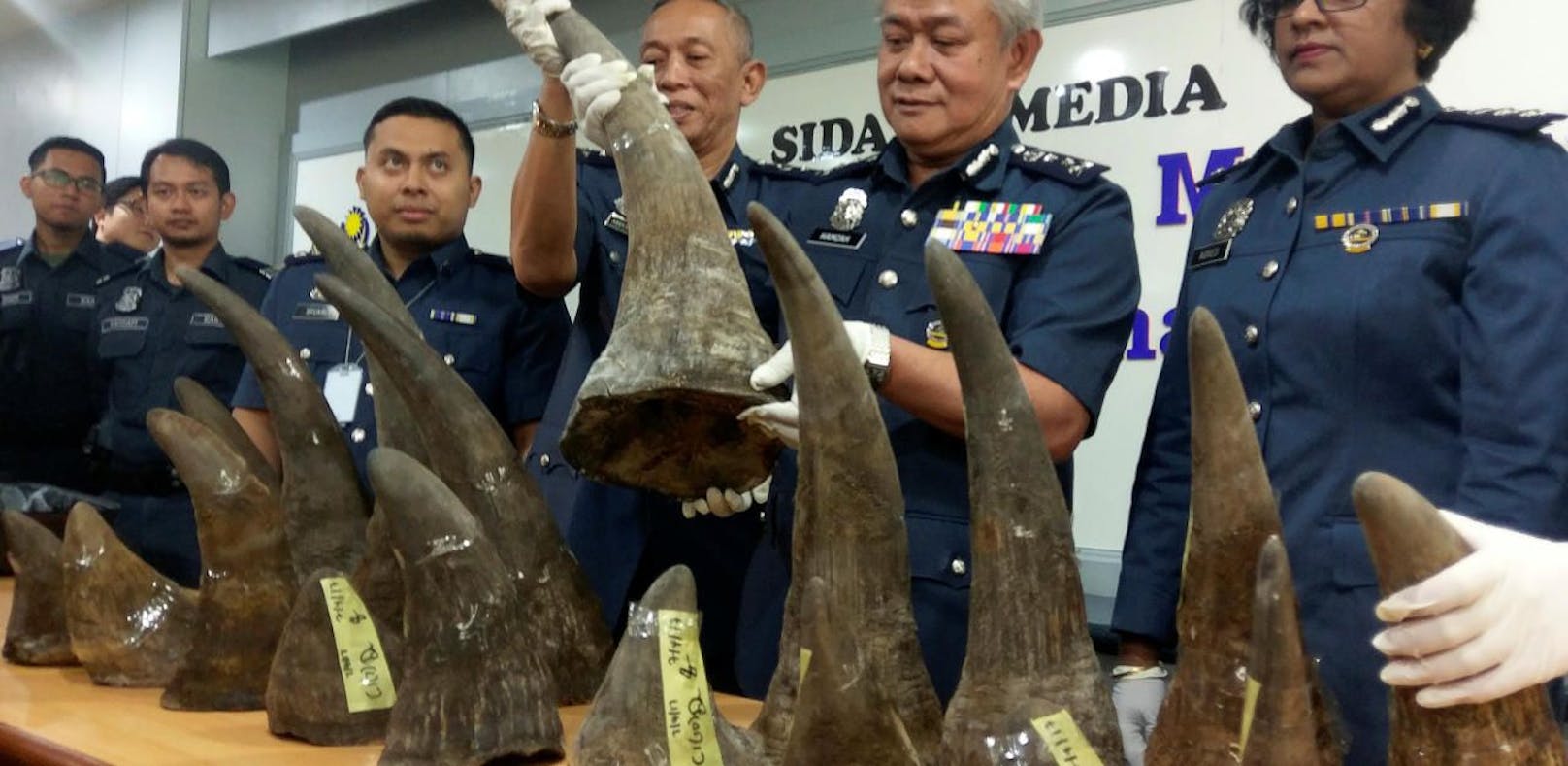 Hamzah Sundang präsentiert die beschlagnahmten Nashorn-Hörner am Flughafen der malaysischen Hauptstadt Kuala Lumpur.
