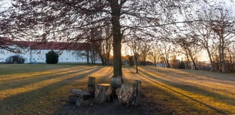 Im Schlosspark Enns kam es am Samstag zu einem Einsatz der Polizei. 