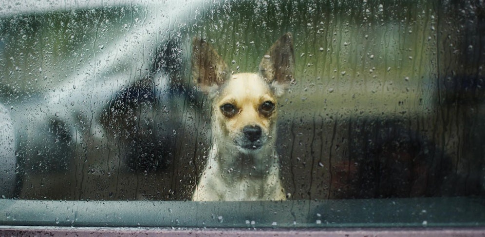 Regen und Wolken am Wochenende...
