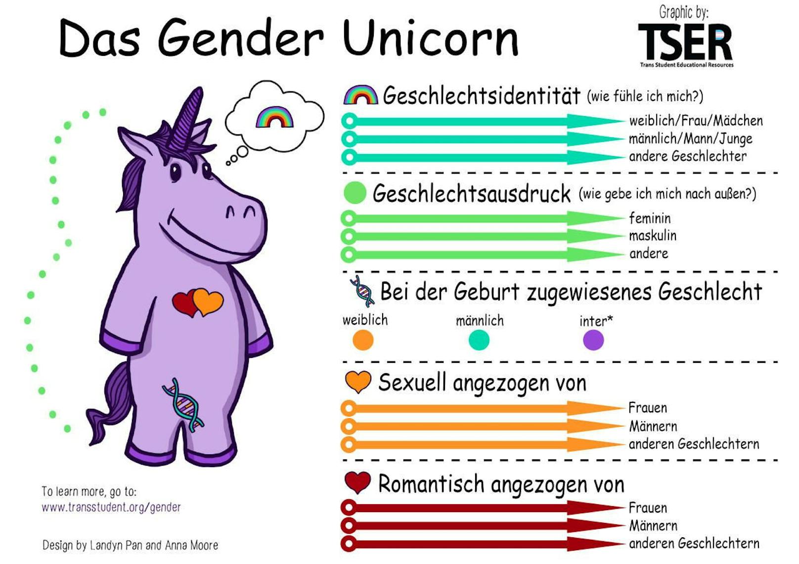 Die deutsche Version des Gender-Unicorns, das in der Schule ausgehängt wurde.