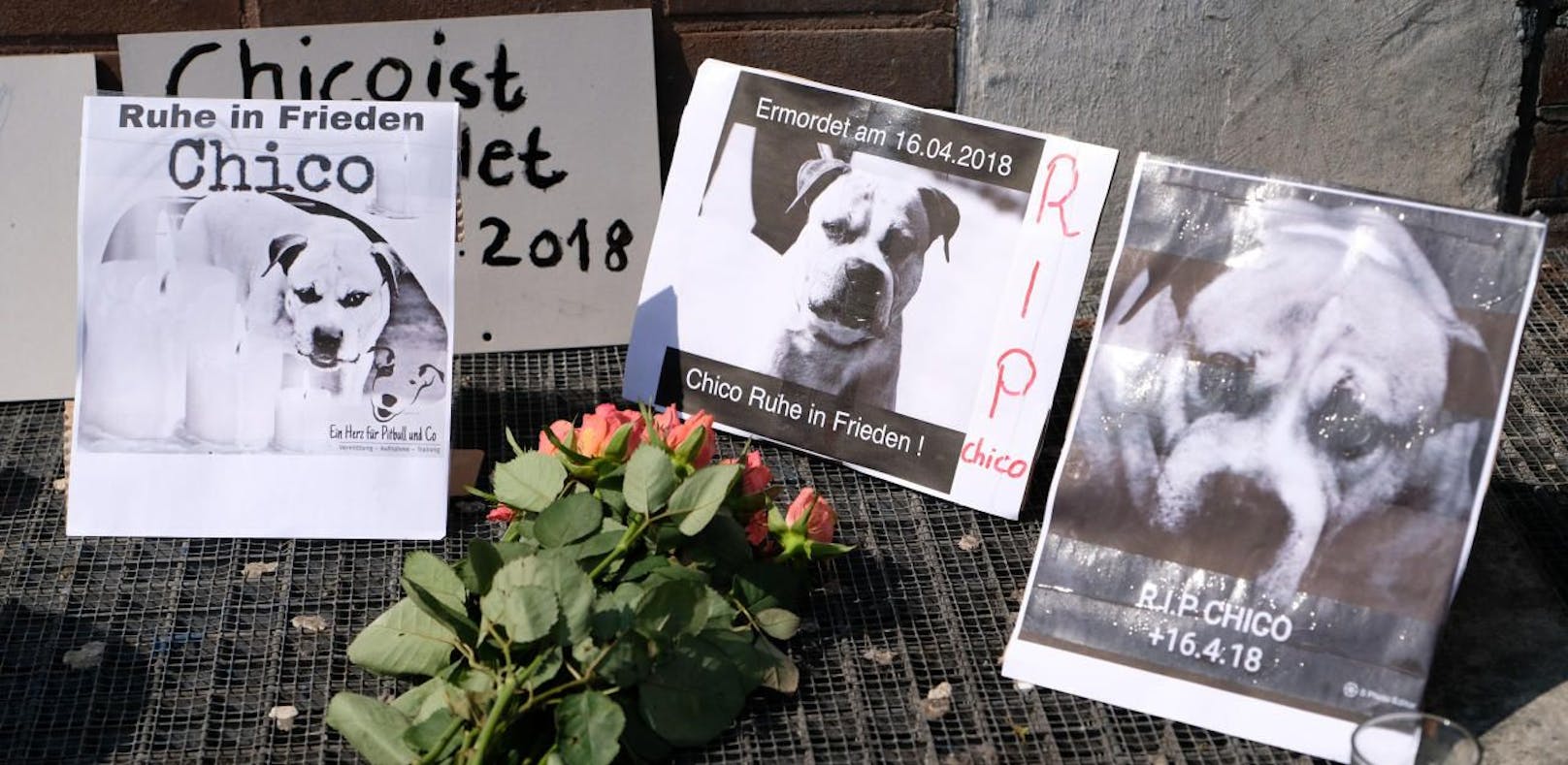 Mahnwache für Killerhund: "Unser Freiheitskämpfer"