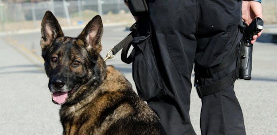 Der Polizist hatte seinen Hund zwei Stunden im Auto gelassen, der Vierbeiner starb