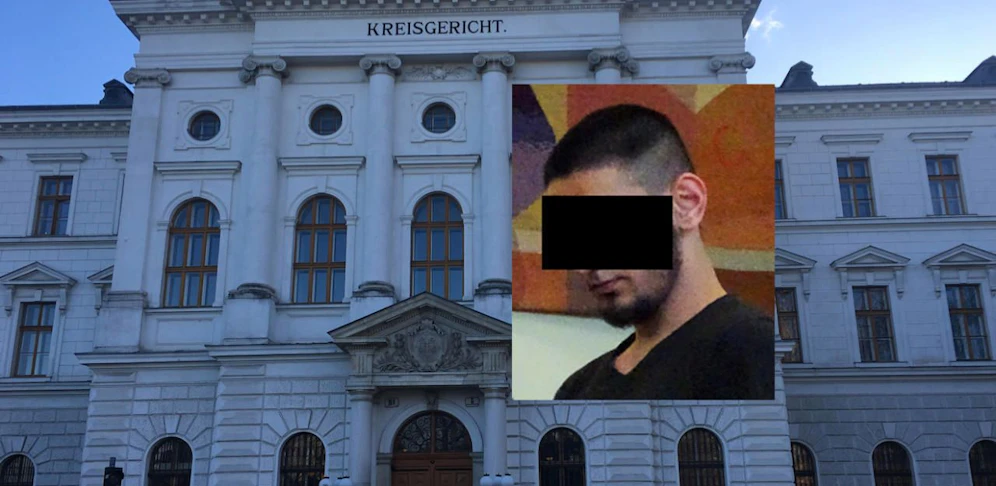 Schuldsprüche am Landesgericht Wr. Neustadt.
