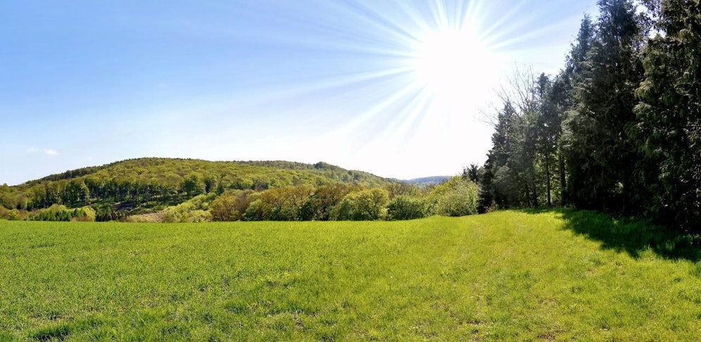 Am Sonntag gibt es strahlenden Sonnenschein im ganzen Land.