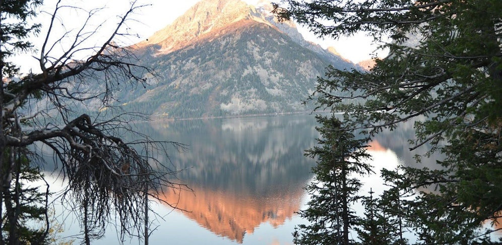 Das Yellowstone Rätsel