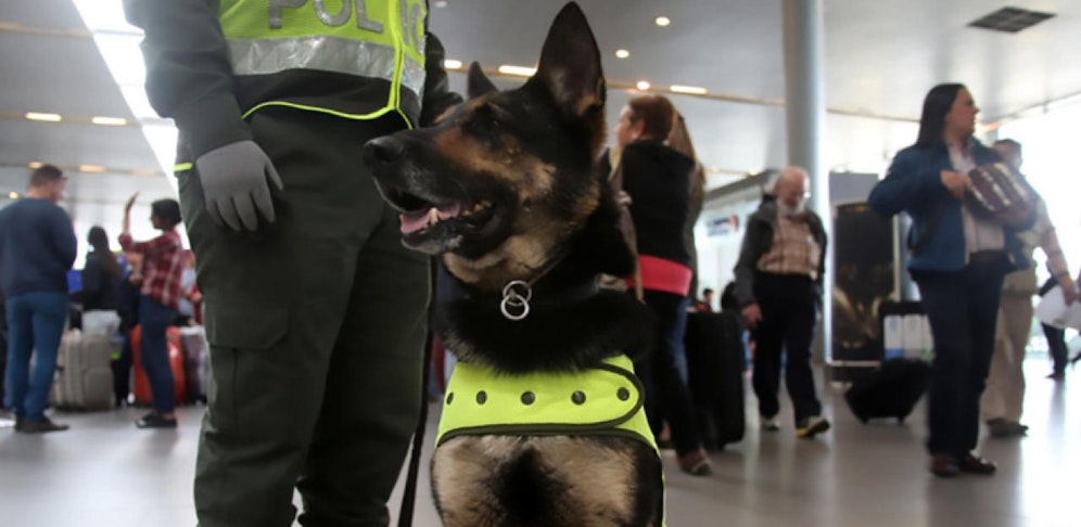 "Sombra" arbeitet nun am Flughafen von Bogota
