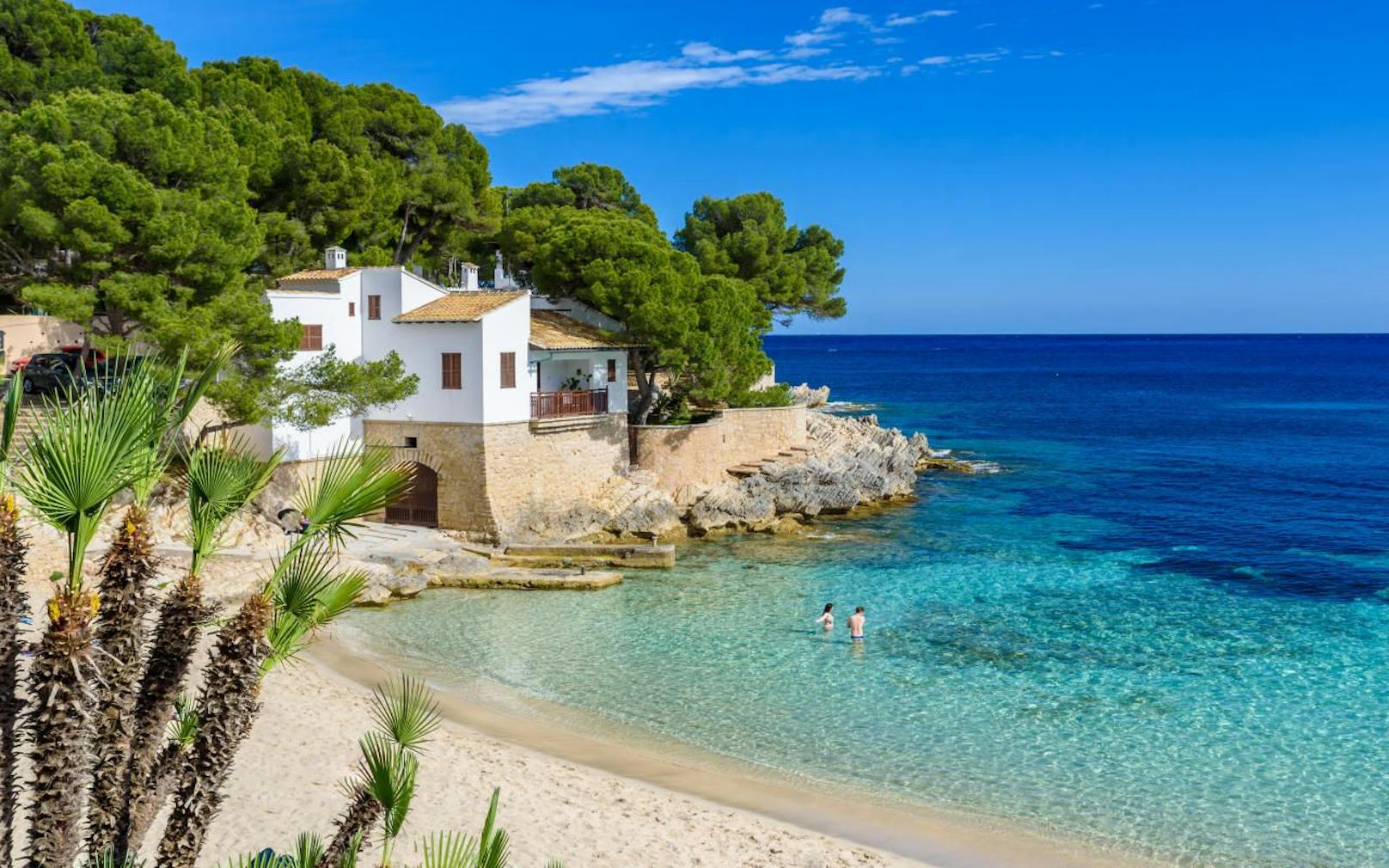Das Urlaubsparadies Mallorca wird von einer &quot;Schlangen-Plage&quot; heimgesucht.