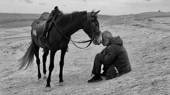 Gewinner des iPhone Photography Award 2021