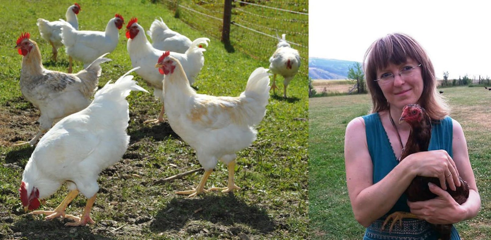 Nina Hofstädter ist Obfrau des Vereins &quot;Rette dein Huhn&quot;  Sie kauft die 9.000 Hühner aus der Konkursmasse und vermittelt sie an Privatpersonen.