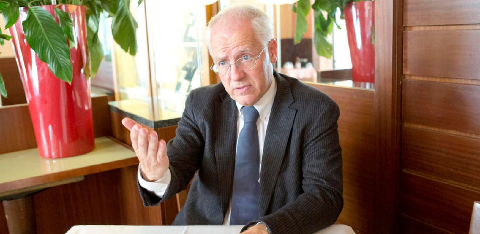 Der Ex-EU-Abgeordnete Hans-Peter Martin.