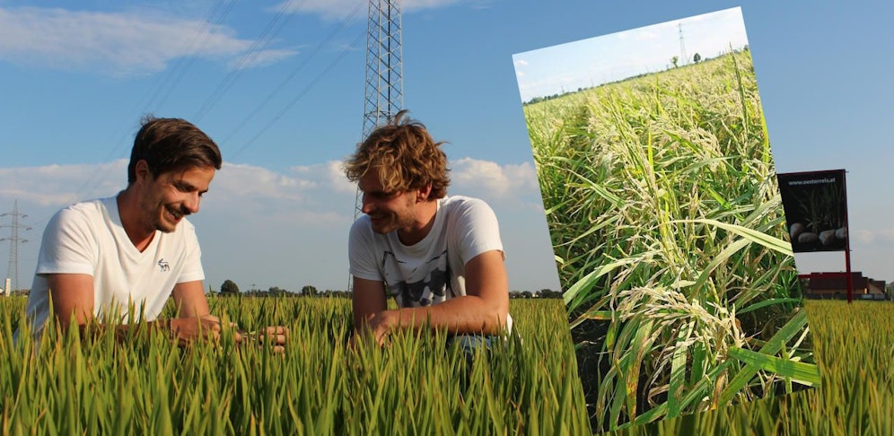 Gregor Neumeyer und Hannes Engl bauen ihren "Österreis" in Gerasdorf und Marchtrenk an.