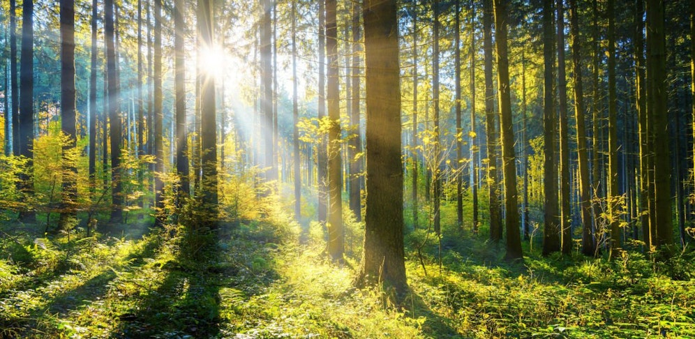 Am Samstag noch die Sonne genießen, bevor es am Sonntag wieder kälter wird.