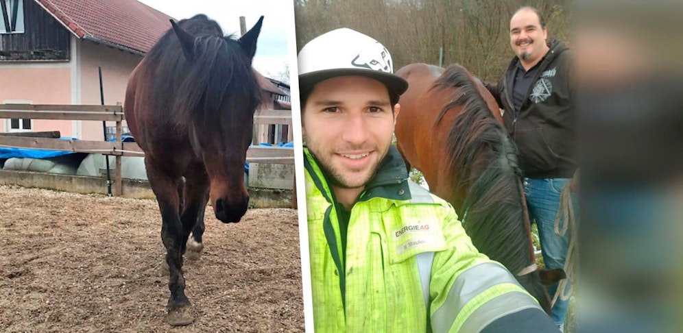 Michael Mauler und Andreas Hann (re.) retteten Pferd Tobi von der Autobahn.