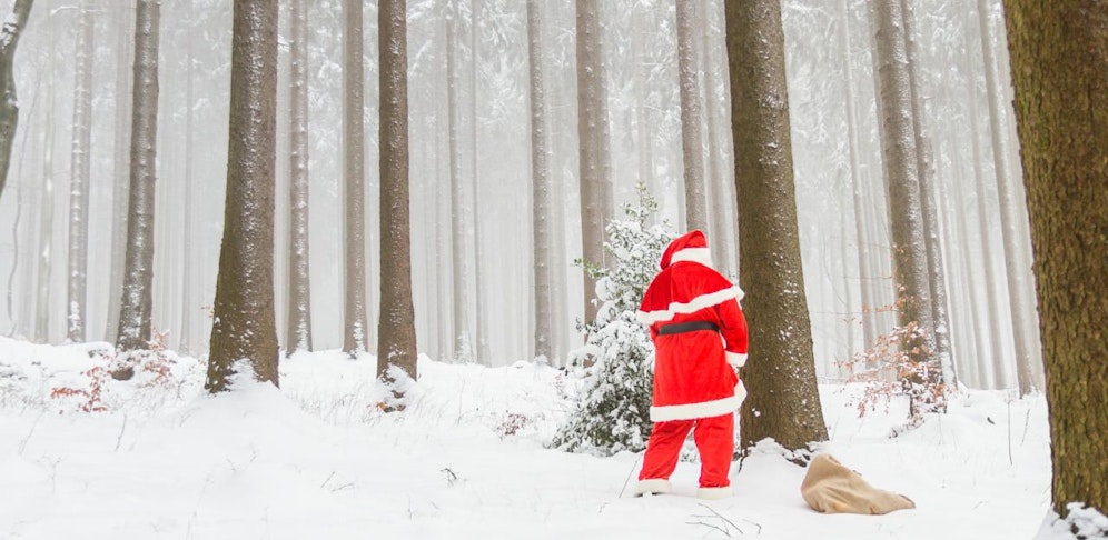 Die Suchaktion hat für den 23-jährigen Wildpinkler keine finanziellen Konsequenzen. Symbolfoto.