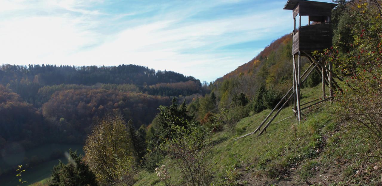 Heute.at - 73-jähriger Jäger von Familie tot aufgefunden