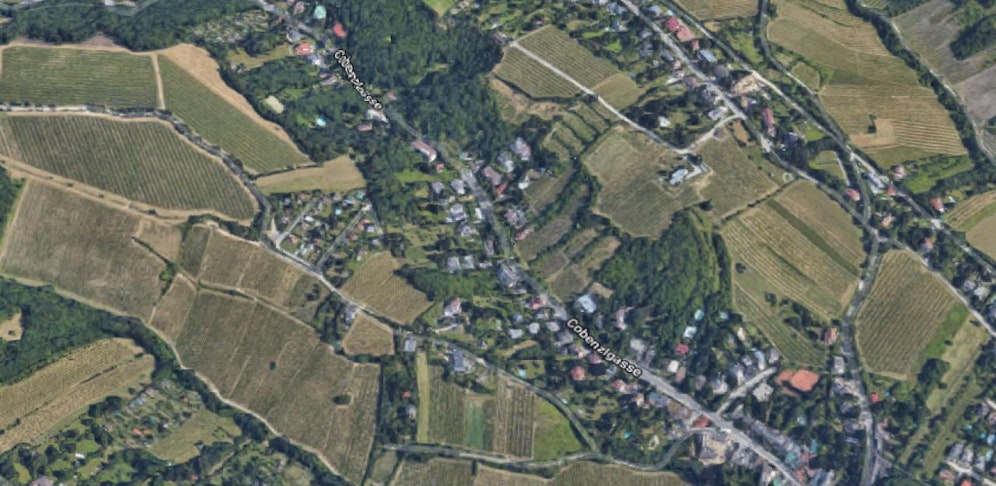 Der Unfall passierte in der Cobenzlgasse in Wien-Döbling