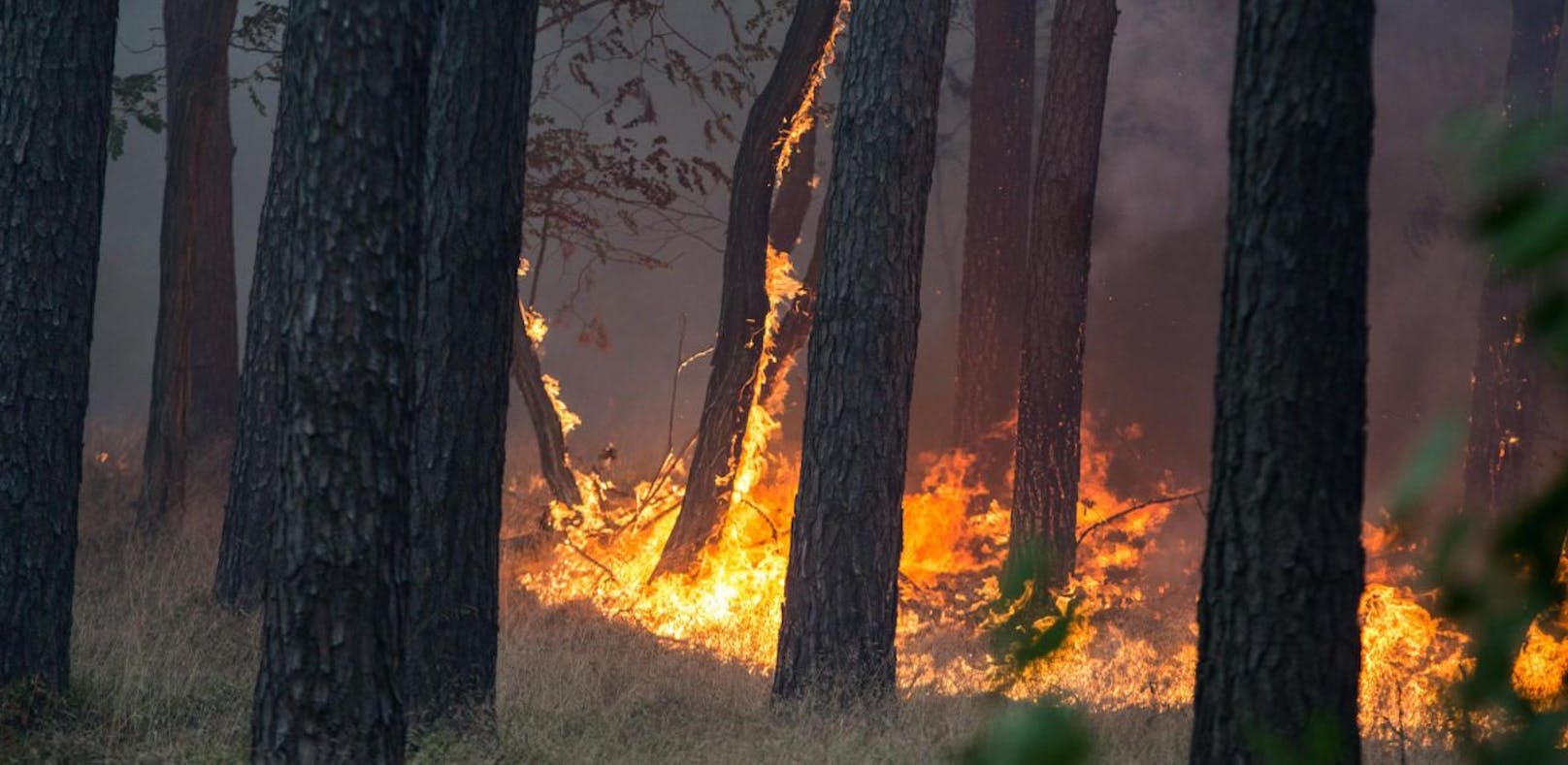 Kriegsrelikte sorgen für Explosionen bei Waldbrand