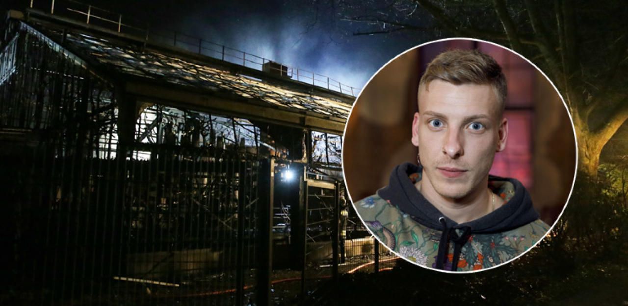 Heute.at - Comedian macht sich über verbrannte Affen lustig