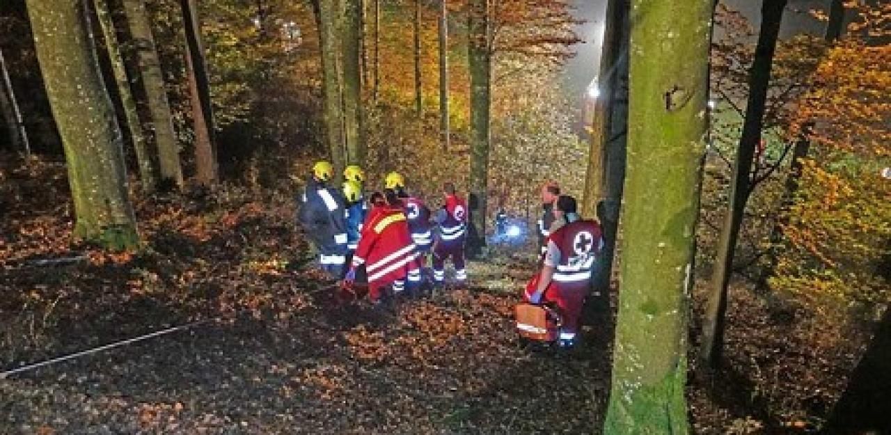 Tödlicher Forstunfall Mann von Baum erschlagen Heute.at